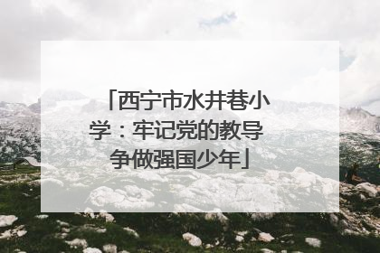 西宁市水井巷小学：牢记党的教导 争做强国少年