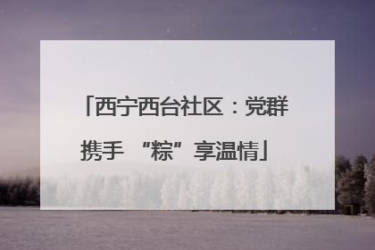 西宁西台社区：党群携手 “粽”享温情