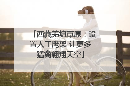 西藏羌塘草原：设置人工鹰架 让更多猛禽翱翔天空