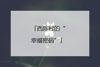 西陈村的“幸福密码”