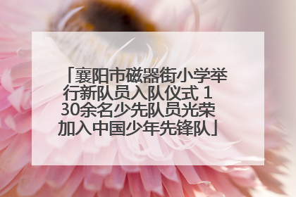 襄阳市磁器街小学举行新队员入队仪式 130余名少先队员光荣加入中国少年先锋队