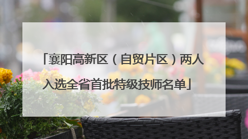 襄阳高新区（自贸片区）两人入选全省首批特级技师名单