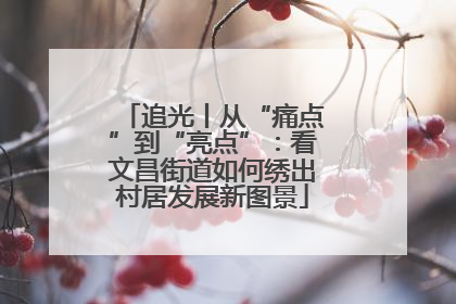 追光丨从“痛点”到“亮点”：看文昌街道如何绣出村居发展新图景