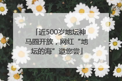 近500岁地坛神马圈开放，网红“地坛的海”邀您尝