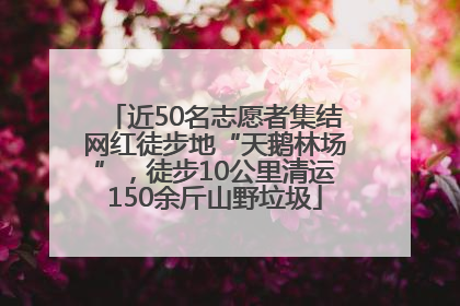 近50名志愿者集结网红徒步地“天鹅林场”，徒步10公里清运150余斤山野垃圾