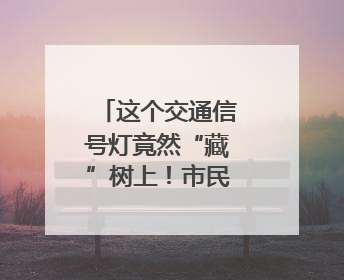 这个交通信号灯竟然“藏”树上！市民盼解决……