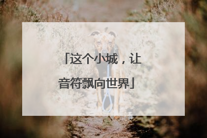 这个小城，让音符飘向世界