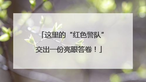 这里的“红色警队”交出一份亮眼答卷！