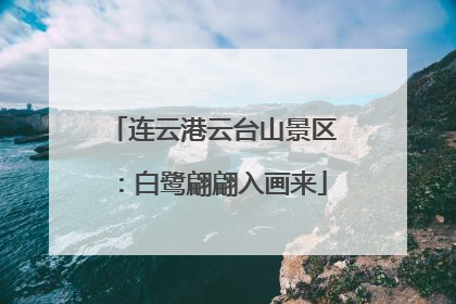 连云港云台山景区：白鹭翩翩入画来