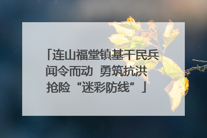 连山福堂镇基干民兵闻令而动  勇筑抗洪抢险“迷彩防线”