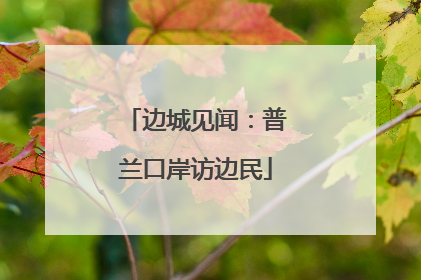 边城见闻：普兰口岸访边民
