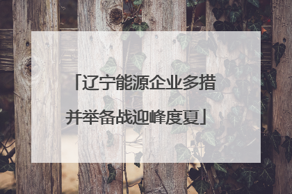 辽宁能源企业多措并举备战迎峰度夏