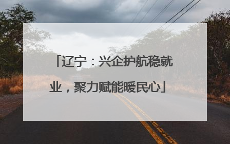 辽宁：兴企护航稳就业，聚力赋能暖民心