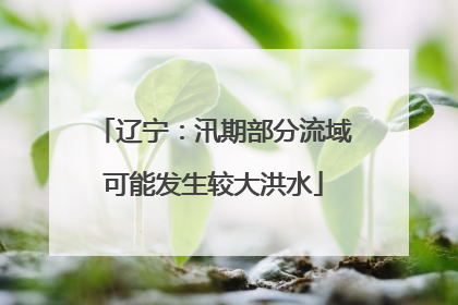 辽宁：汛期部分流域可能发生较大洪水