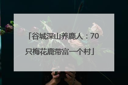谷城深山养鹿人：70只梅花鹿带富一个村
