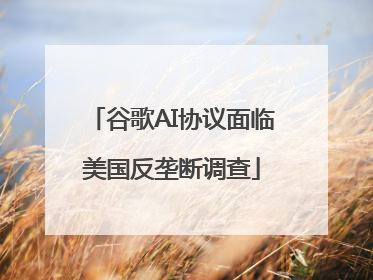 谷歌AI协议面临美国反垄断调查