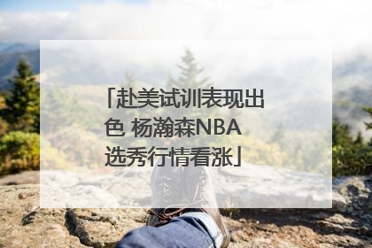 赴美试训表现出色 杨瀚森NBA选秀行情看涨