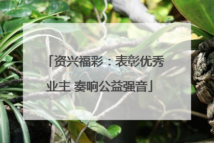 资兴福彩：表彰优秀业主 奏响公益强音