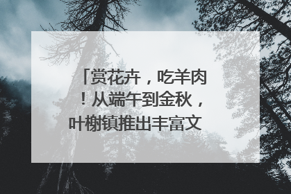 赏花卉，吃羊肉！从端午到金秋，叶榭镇推出丰富文旅活动邀您爽玩