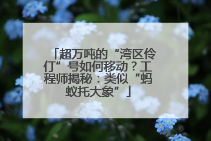 超万吨的“湾区伶仃”号如何移动？工程师揭秘：类似“蚂蚁托大象”