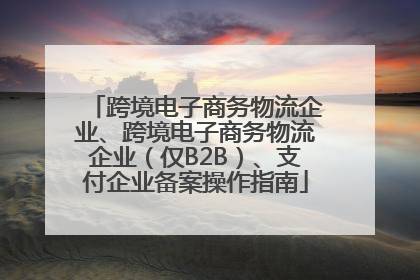 跨境电子商务物流企业、跨境电子商务物流企业（仅B2B）、支付企业备案操作指南