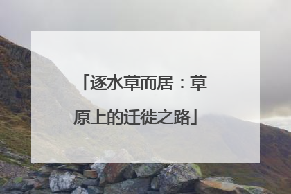逐水草而居：草原上的迁徙之路
