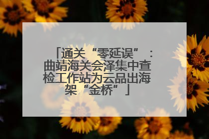 通关“零延误”：曲靖海关会泽集中查检工作站为云品出海架“金桥”