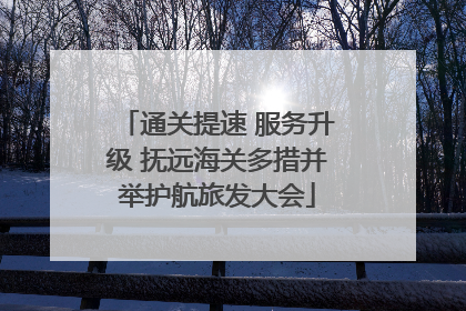 通关提速 服务升级 抚远海关多措并举护航旅发大会