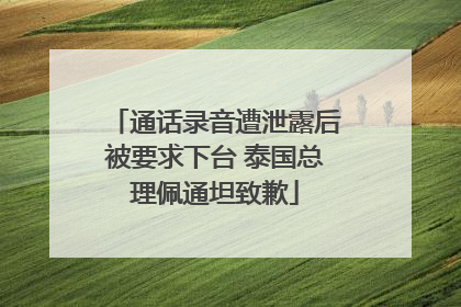 通话录音遭泄露后被要求下台 泰国总理佩通坦致歉