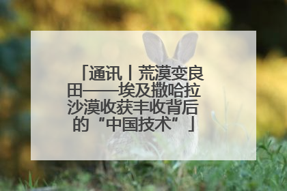 通讯丨荒漠变良田——埃及撒哈拉沙漠收获丰收背后的“中国技术”