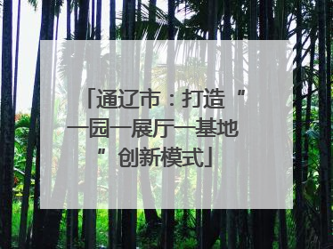 通辽市：打造“一园一展厅一基地”创新模式