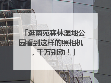 逛南苑森林湿地公园看到这样的照相机，千万别动！