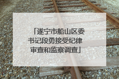 遂宁市船山区委书记段勇接受纪律审查和监察调查