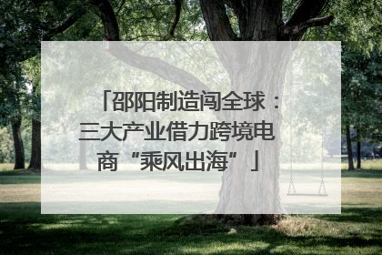 邵阳制造闯全球：三大产业借力跨境电商“乘风出海”