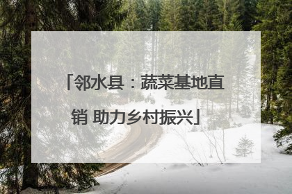邻水县：蔬菜基地直销 助力乡村振兴