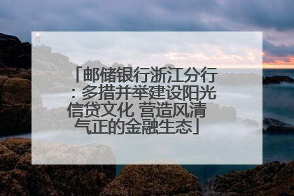 邮储银行浙江分行：多措并举建设阳光信贷文化 营造风清气正的金融生态