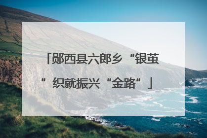 郧西县六郎乡“银茧”织就振兴“金路”