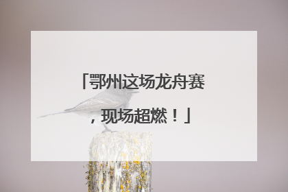 鄂州这场龙舟赛，现场超燃！