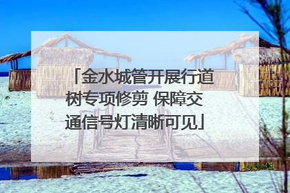 金水城管开展行道树专项修剪 保障交通信号灯清晰可见