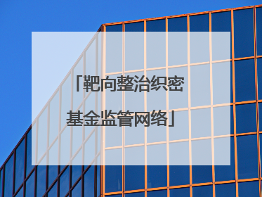 靶向整治织密基金监管网络