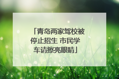 青岛两家驾校被停止招生 市民学车请擦亮眼睛