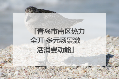 青岛市南区热力全开 多元场景激活消费动能