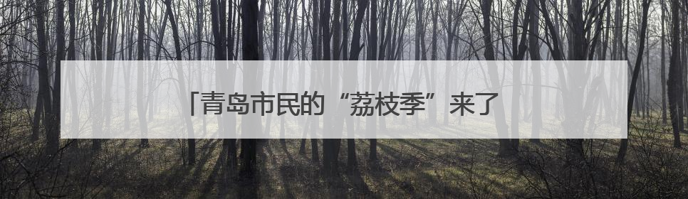 青岛市民的“荔枝季”来了 妃子笑普遍在7-10元之间