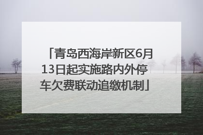 青岛西海岸新区6月13日起实施路内外停车欠费联动追缴机制
