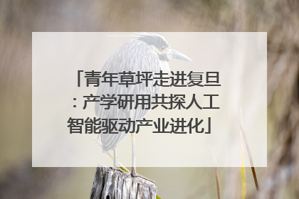 青年草坪走进复旦：产学研用共探人工智能驱动产业进化