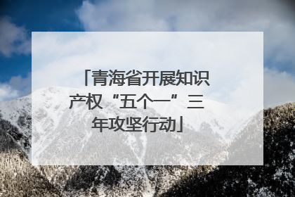 青海省开展知识产权“五个一”三年攻坚行动