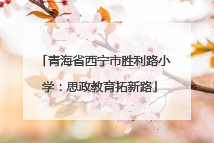 青海省西宁市胜利路小学：思政教育拓新路