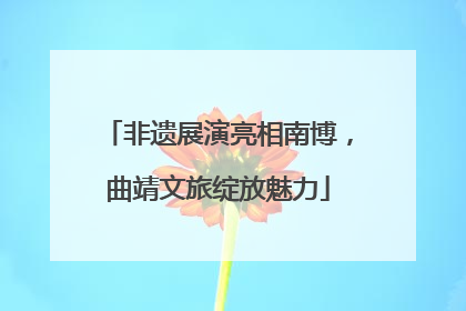 非遗展演亮相南博，曲靖文旅绽放魅力