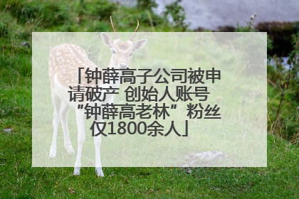 钟薛高子公司被申请破产 创始人账号“钟薛高老林”粉丝仅1800余人