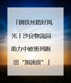 钢铁丝路好风光丨沙良物流园助力中欧班列跑出“加速度”